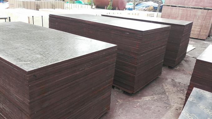 Feuilles de contreplaqué de Dynea 8 x 4 3 4 épais, panneaux en bois résistants sains de contreplaqué de placage