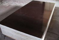 Flexibility WBP Glue Oversized Plywood Sheets / Poplar Core Plywood Project Panel