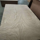 Waterproof Poplar Core Wood Veneer Plywood 1220*2440mm Standard Size
