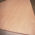 25mm Bintangor Commercial Grade Plywood E1 Glue Poplar Core For Exterior Decoration