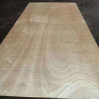 BB Grade Okoume Hardwood Ply Sheets 2 Times Hot Press One Side Wood Veneer Decoration